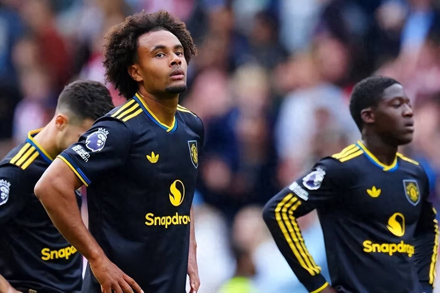 text, 齐尔克泽本 text, 齐尔克泽本